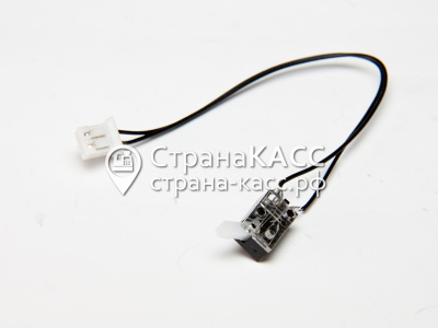 фото на белом фоне 1