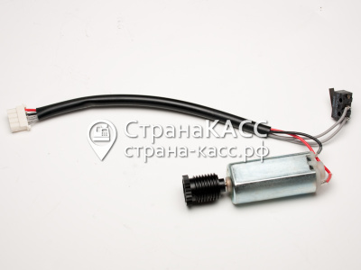 Фото на белом фоне