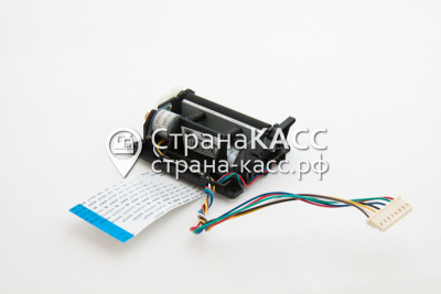 фото на белом фоне 1