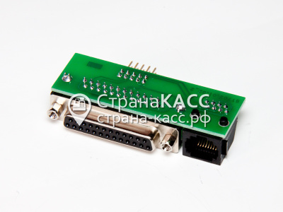 фото на белом фоне