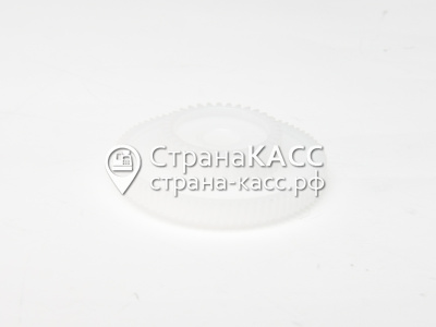 фото на белом фоне 1