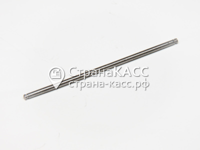 фото на белом фоне