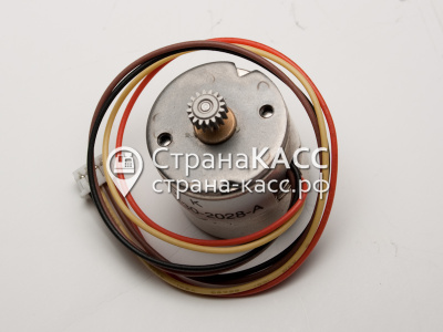 Фото на белом фоне