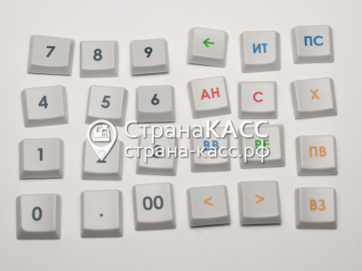 фото на белом фоне