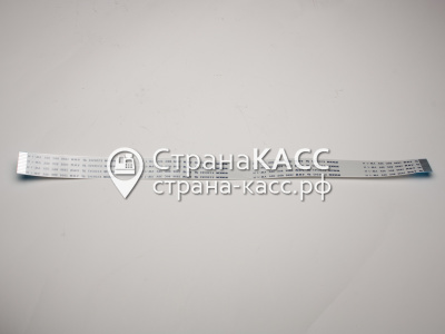 Фото на белом фоне