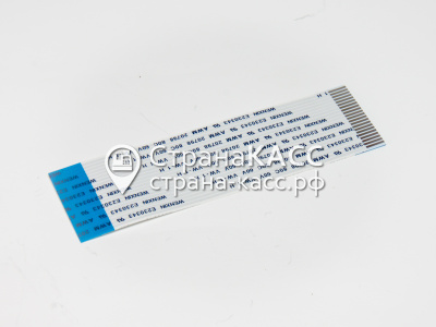 фото на белом фоне