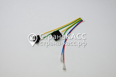 фото на белом фоне 1 (лицо)