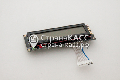 фото на белом фоне 1