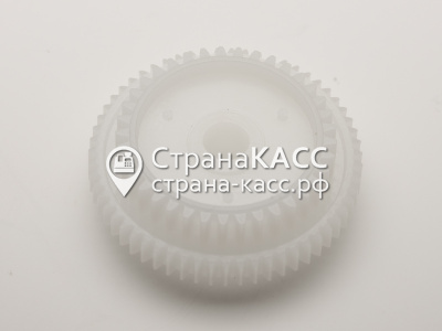 Фото на белом фоне