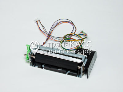 фото на белом фоне