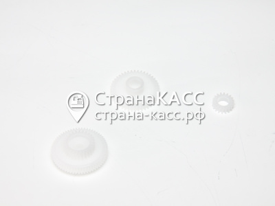 фото на белом фоне