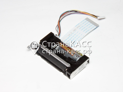 фото на белом фоне 1