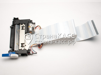 Фото на белом фоне