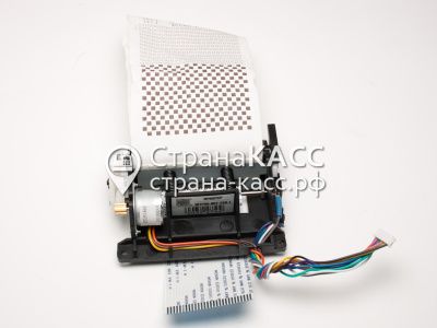 Фото на белом фоне