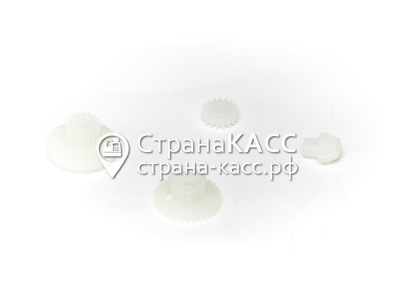 фото на белом фоне