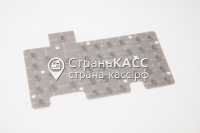 фото на белом фоне 1