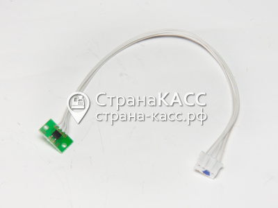 фото на белом фоне