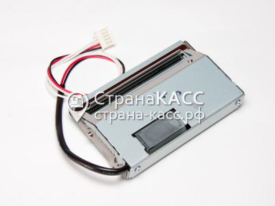 фото на белом фоне