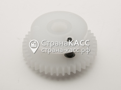 Фото на белом фоне