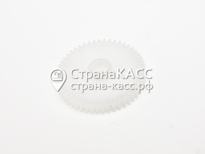 фото на белом фоне 1