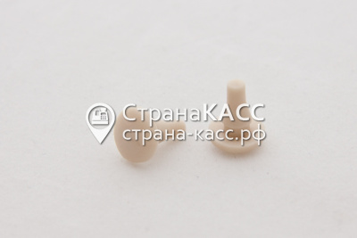 фото на белом фоне